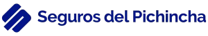 LOGO_JB_SDP